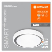Светодиодный светильник Smart WiFi ORBIS MOON RD380 TW GR